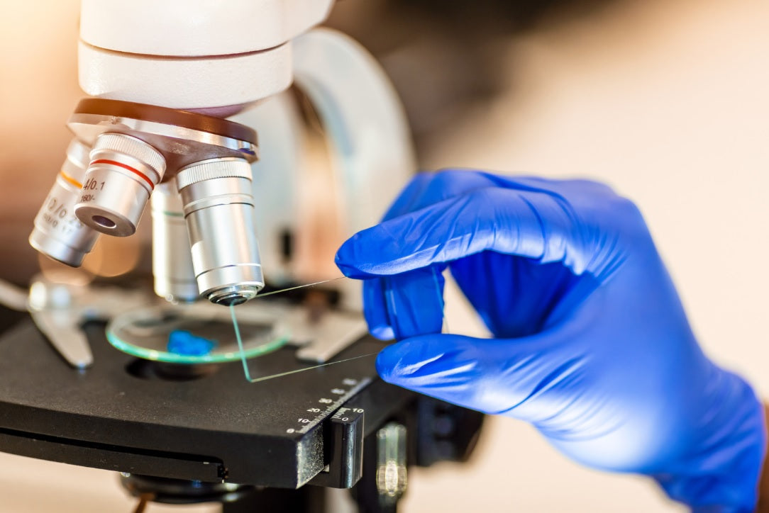 Investigación & Desarrollo: Identificación de Patógenos (Bacteriano y Fúngico)
